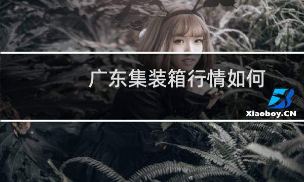 广东集装箱行情如何