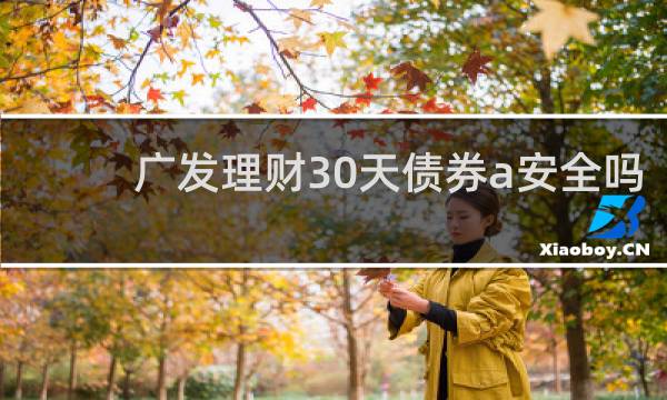 广发理财30天债券a安全吗