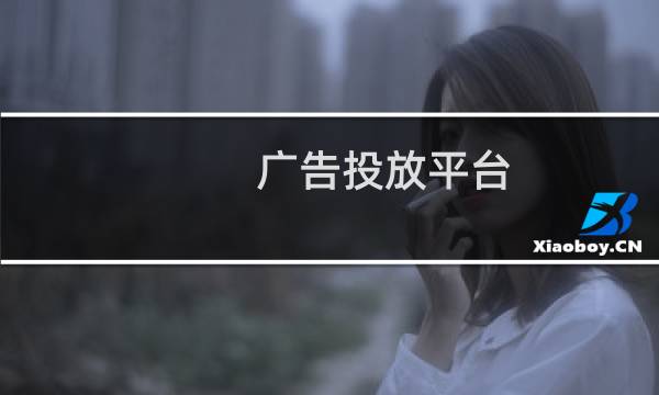 广告投放平台