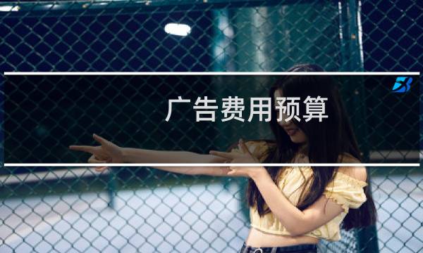 广告费用预算