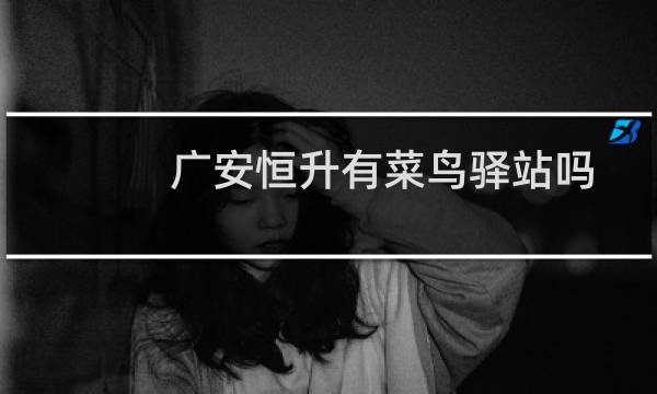 广安恒升有菜鸟驿站吗