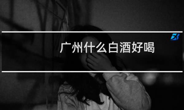 广州什么白酒好喝