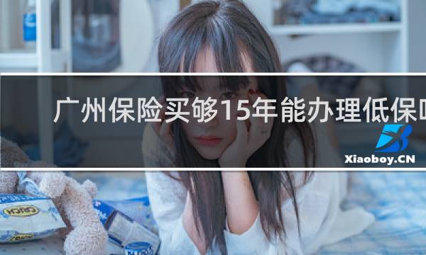 广州保险买够15年能办理低保吗