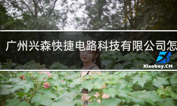 广州兴森快捷电路科技有限公司怎么样