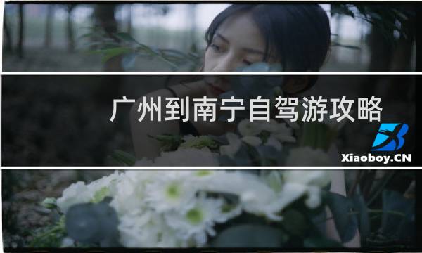 广州到南宁自驾游攻略