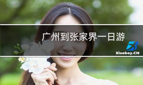 广州到张家界一日游