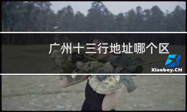廣州十三行地址哪個區(qū)