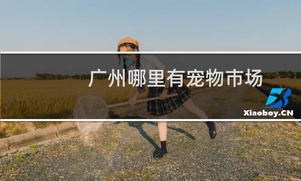 广州哪里有宠物市场