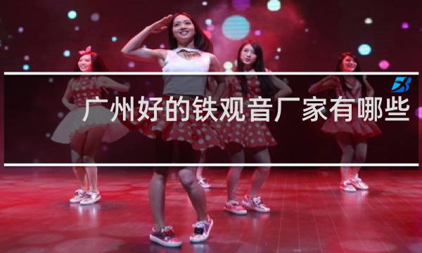 广州好的铁观音厂家有哪些