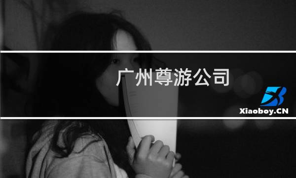 广州尊游公司