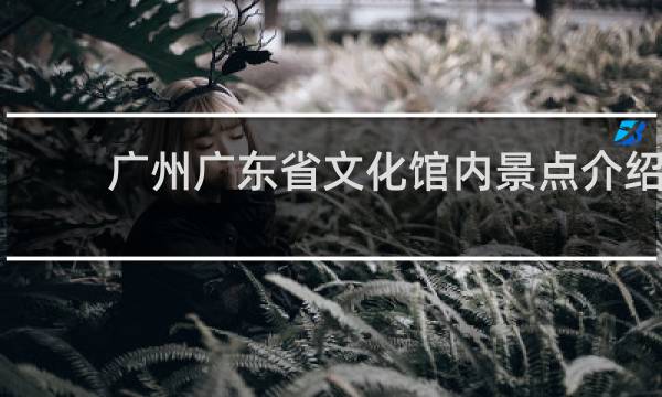 广州广东省文化馆内景点介绍