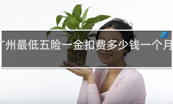 广州最低五险一金扣费多少钱一个月多少钱