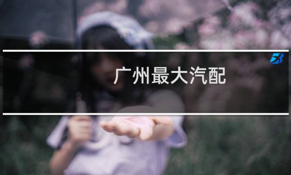 广州最大汽配