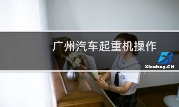 广州汽车起重机操作
