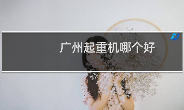 广州起重机哪个好