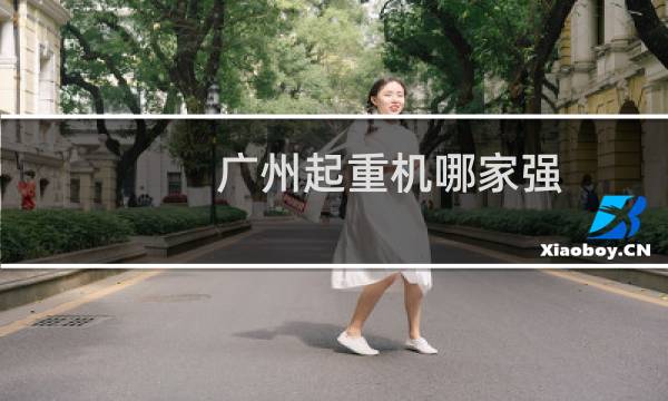 广州起重机哪家强