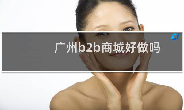 广州b2b商城好做吗