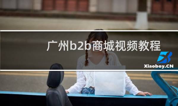 广州b2b商城视频教程