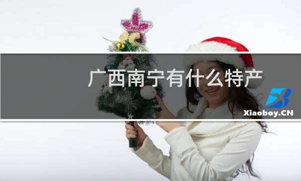 广西南宁有什么特产
