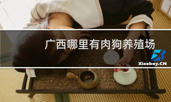 广西哪里有肉狗养殖场