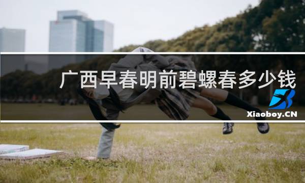 广西早春明前碧螺春多少钱