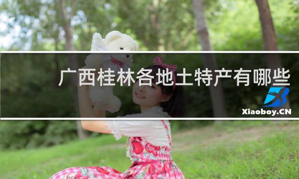 广西桂林各地土特产有哪些