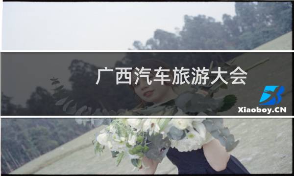 广西汽车旅游大会