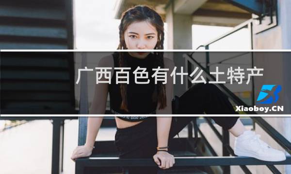 广西百色有什么土特产