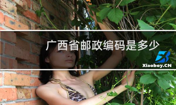 广西省邮政编码是多少