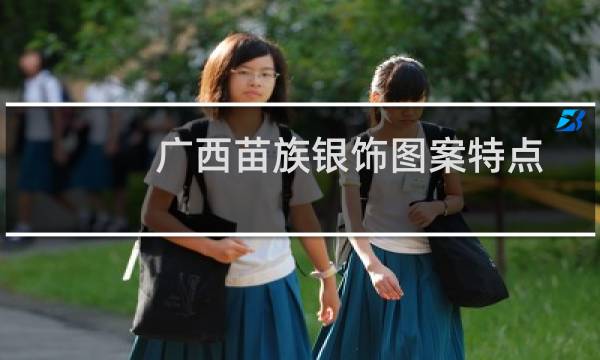 广西苗族银饰图案特点