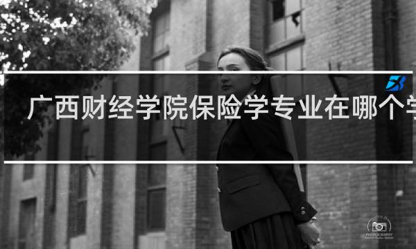 广西财经学院保险学专业在哪个学院