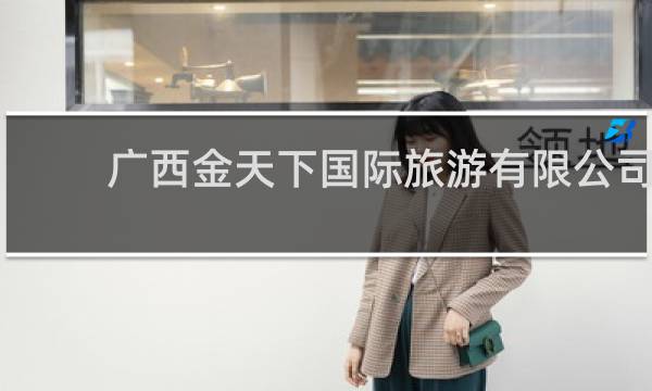 广西金天下国际旅游有限公司