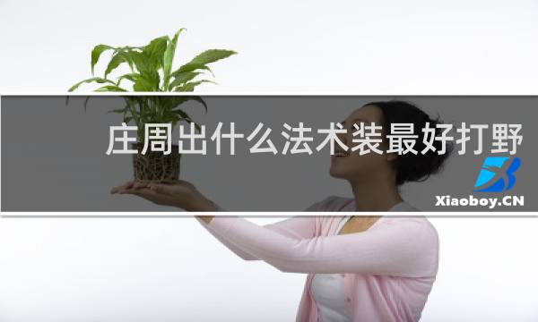 庄周出什么法术装最好打野