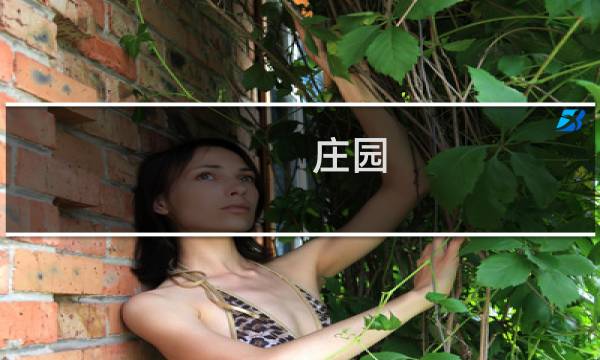 庄园 酒店 攻略