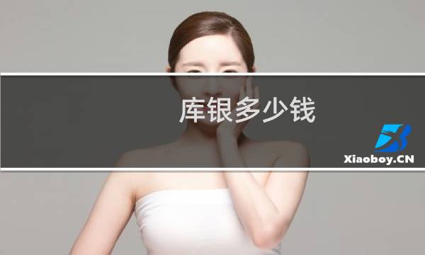 库银多少钱