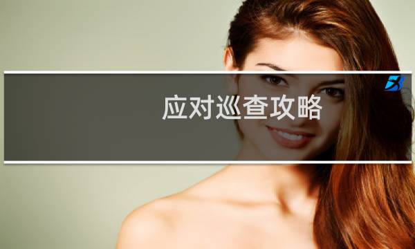 应对巡查攻略