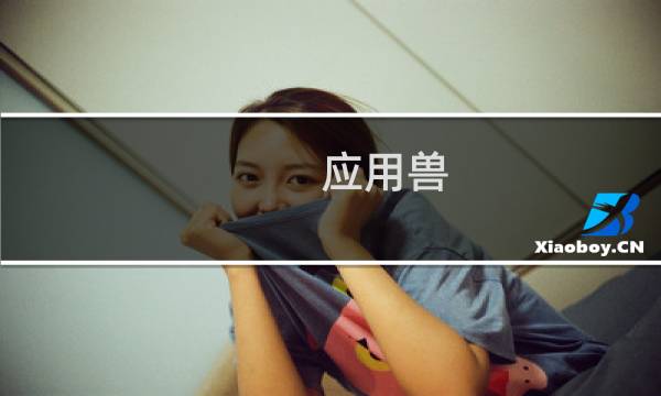 应用兽 攻略