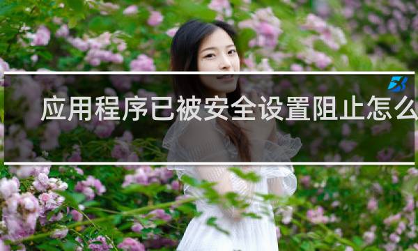 应用程序已被安全设置阻止怎么办
