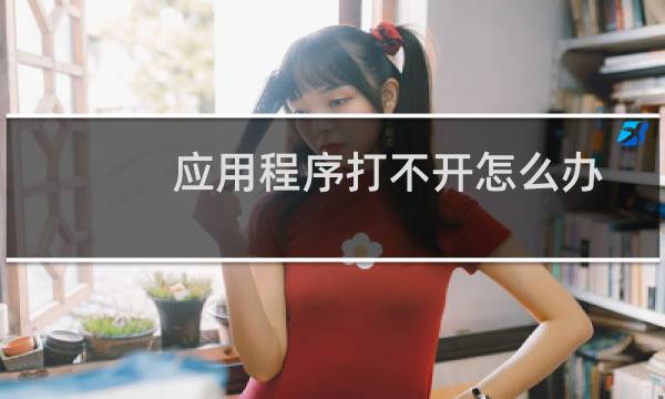 应用程序打不开怎么办