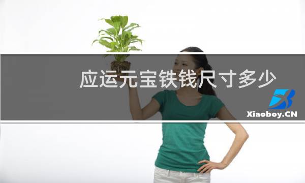应运元宝铁钱尺寸多少