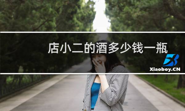 店小二的酒多少钱一瓶