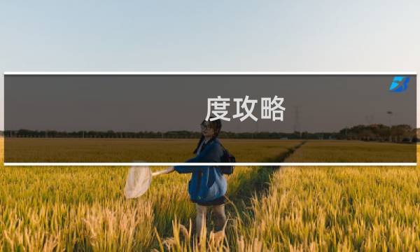 度攻略
