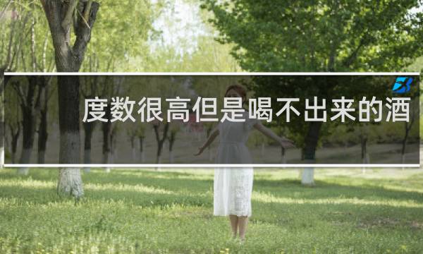 度数很高但是喝不出来的酒