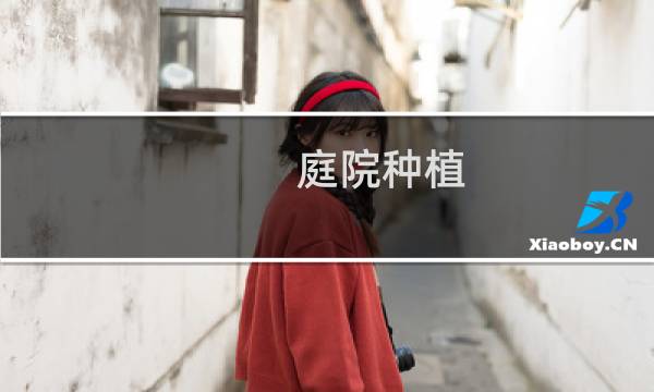 庭院种植