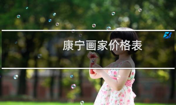 康宁画家价格表