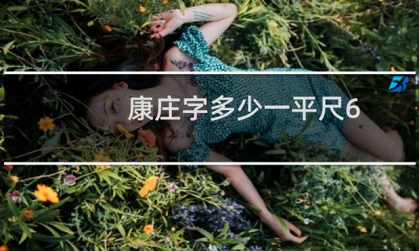 康庄字多少一平尺6