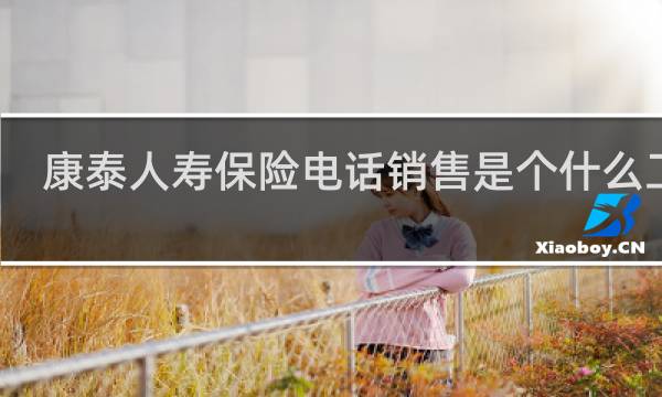 康泰人寿保险电话销售是个什么工作