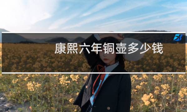 康熙六年铜壶多少钱
