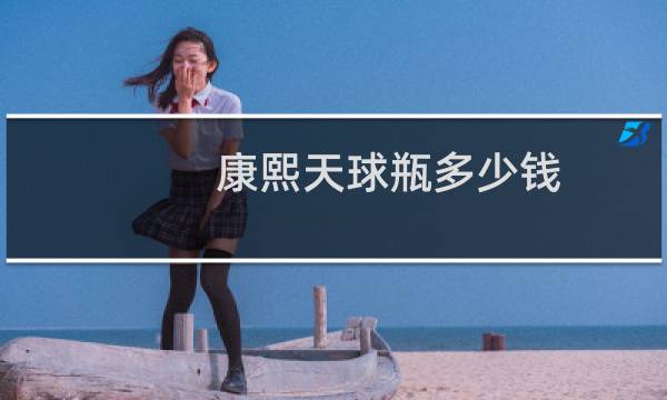 康熙天球瓶多少钱