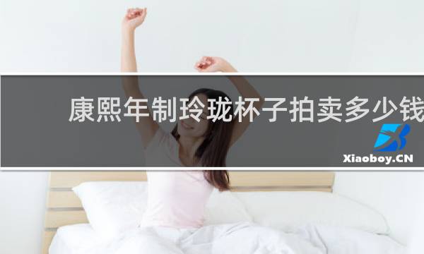 康熙年制玲珑杯子拍卖多少钱
